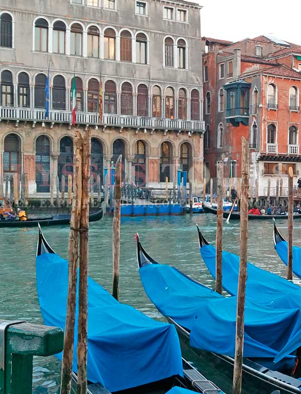 Venice Top-Attractions Tour